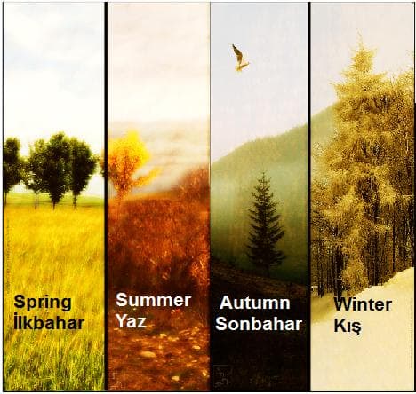 İngilizce Mevsimler - Yazılışı - Okunuşu - Türkçe Anlamı